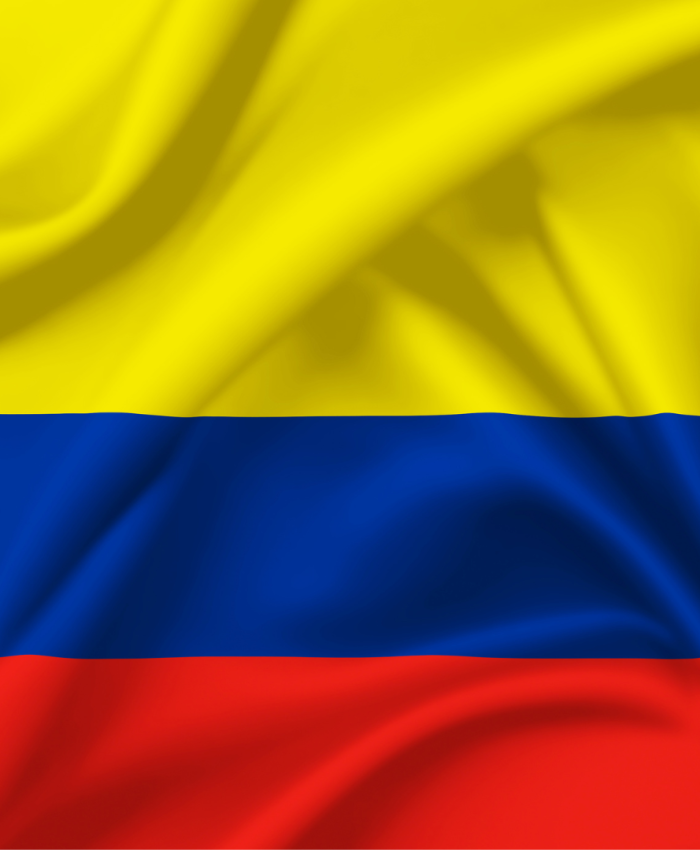 Cómo sacar los antecedentes penales de Colombia para tu trámite en España